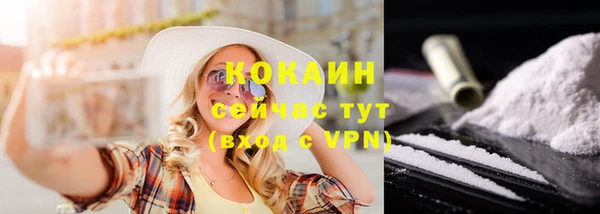 молекула духа Арсеньев