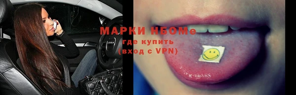 молекула духа Арсеньев