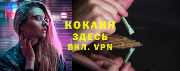 молекула духа Арсеньев