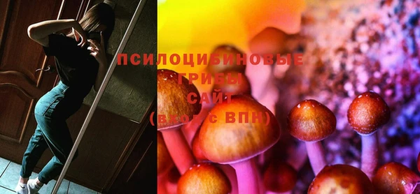 молекула духа Арсеньев