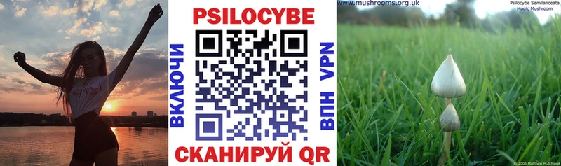 Псилоцибиновые грибы прущие грибы  это клад  Семилуки 